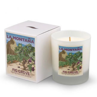 Candle Fig Grove La Montana